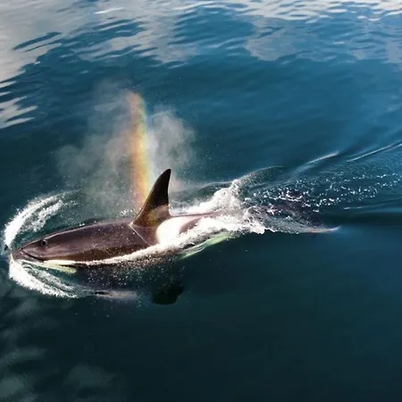 호텔 Smaken Av Ryfylke Event As Overnatting, Bygningen Drives Ikke Som *